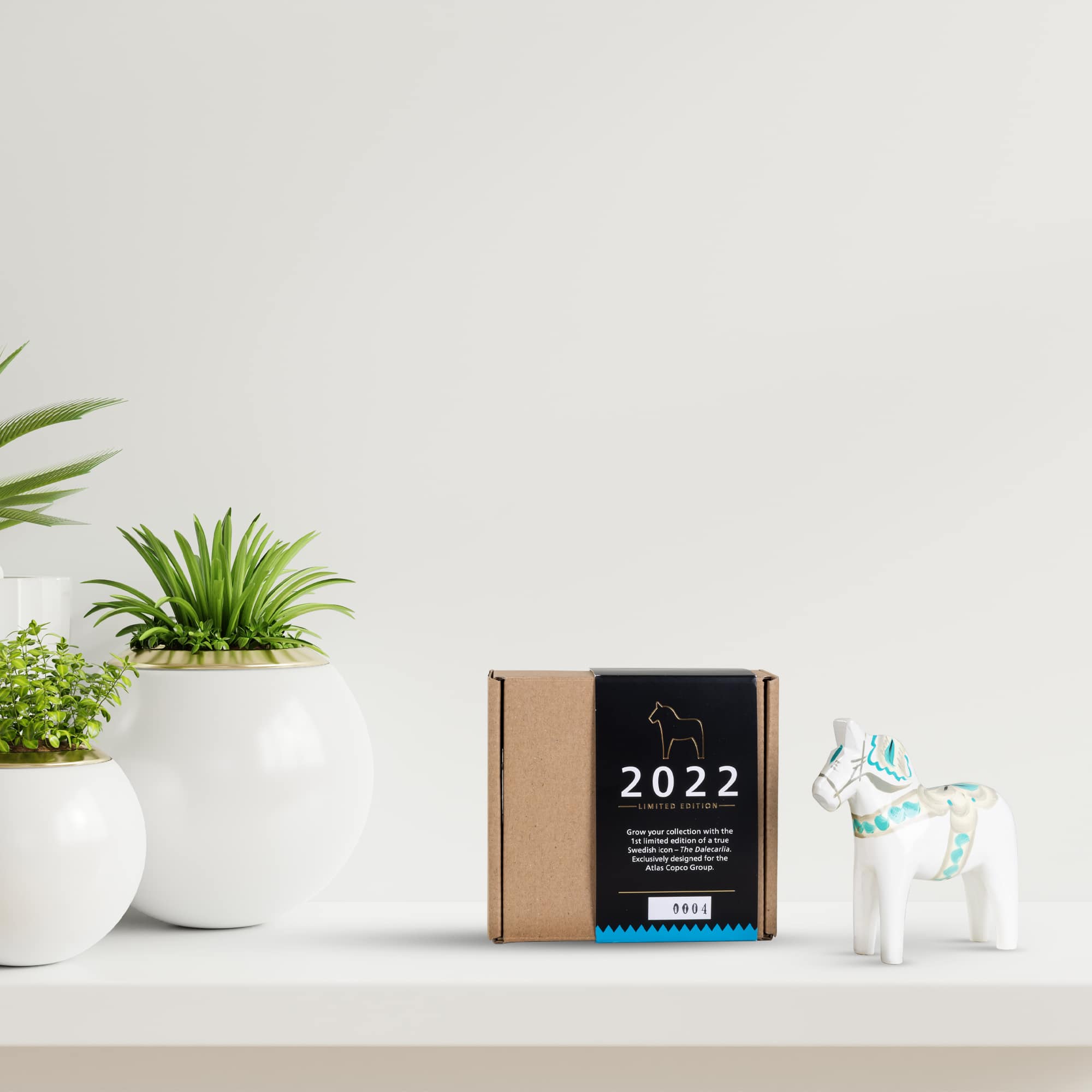 dalecarlia in white and box